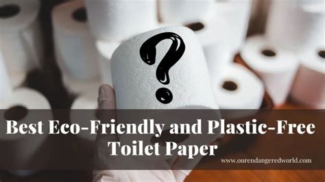 10 Best Eco-Friendly & Plastic-Free Toilet Paper