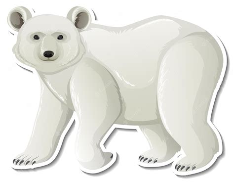 bear whites - Clip Art Library