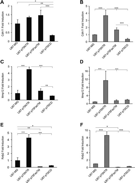 Qrt Pcr Validation Of Expression Microarray Results Of Selected Genes