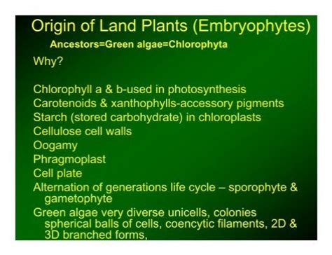 Origin Of Land Plants Embryophytes