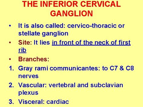 Dr Ahmed Fathalla Ibrahim PARASYMPATHETIC GANGLIA CILIARY GANGLION