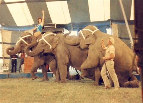 Great American Circus 1985 2