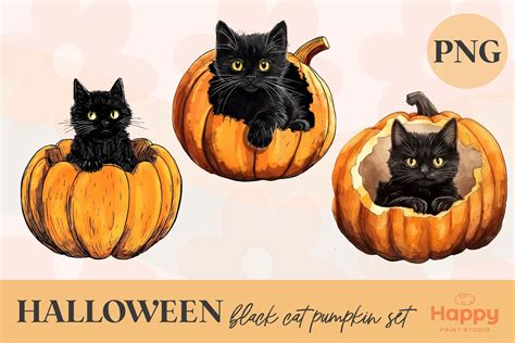 Black Cat Pumpkin Set Halloween Png Graphic By Happy Print Studio