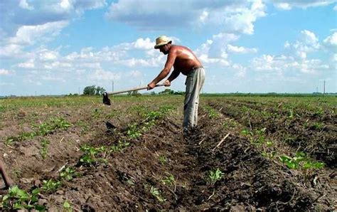 Agricoltura Sociale Tutte Le Info Utili Idee Green