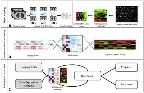 Diagnostics Free Full Text Radiogenomics And Radiomics In Liver Cancers