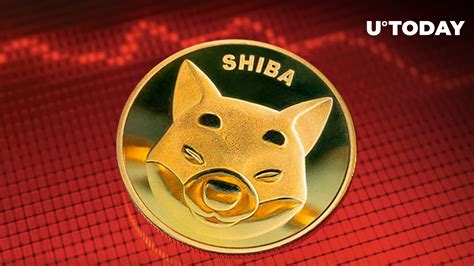 Here S Why Shiba Inu Shib Trading Volume Crash Is Good News