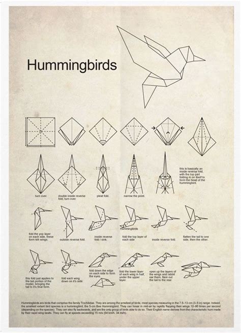 Hummingbird Origami Instructions - Origami