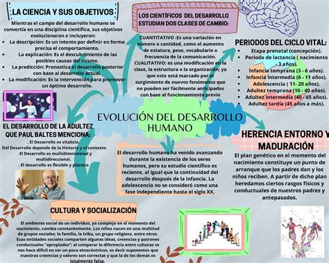 Evolucion Del Desarrollo Humano Periodos Del Ciclo Vital Etapa Prenatal Concepción Periodo