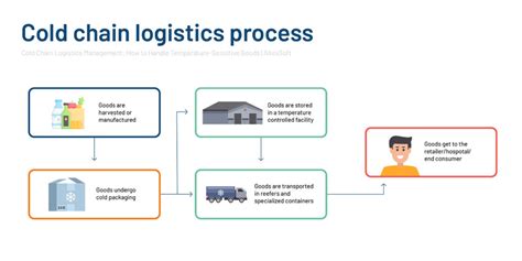 Understanding The Cold Chain Management Process Zhenhub