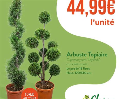 Notre actualité Jardinerie à Pamiers en Ariège Clarac