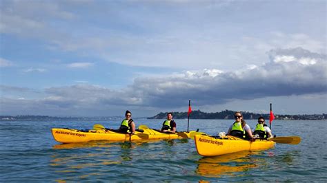 Riverhead Paddle To The Pub Kayak Trip Auckland Sea Kayaks