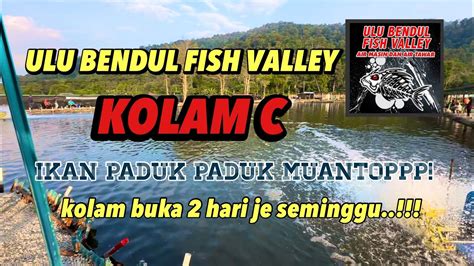 Kolam C Ulu Bendul Fish Valley Kolam Buka Kali Seminggu Youtube