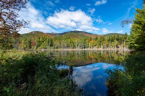 Fall Foliage In The Adirondack Mountains Stock Image Image Of Rocks