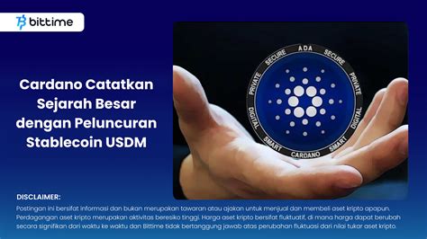 Cardano Makes Big History With Launch Of USDM Stablecoin Bittime