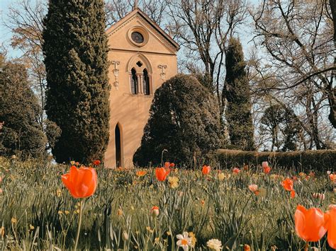 Visitare Il Parco Sigurtà Quando Andare E Cosa Vedere