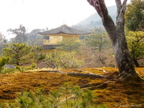 Kyotos Golden Gem Kinkakuji Temple Try Something Fun