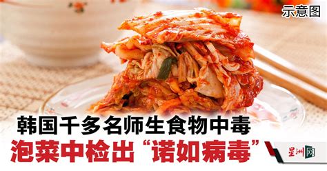 韩国千多名师生集体食物中毒 泡菜中检出“诺如病毒” 国际 即时国际