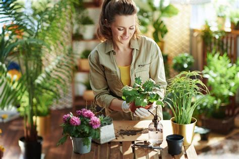 5 Tips Que Debes Saber Para Cuidar Tus Plantas En Casa Ara