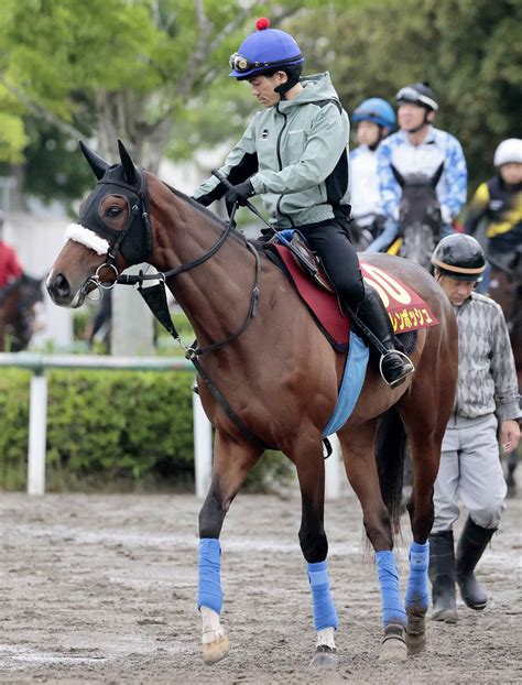 【オークス】桜花賞馬は距離延長ok 3冠女王アパパネ、アーモンドアイ送り出した国枝調教師が2冠へ「自信あるよ」 Umatoku 馬トク