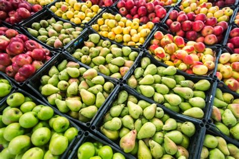 Crecieron Las Exportaciones De Fruta Fresca El Economista