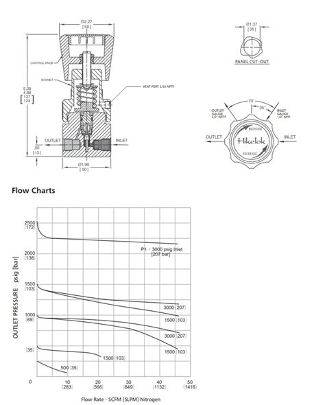 Swagelok Type Hikelok Manufacturer Liquid Gas Fuel High And Low Dual