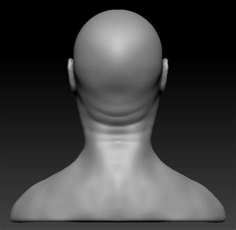 Male Head Sculpt 3d Model Cgtrader