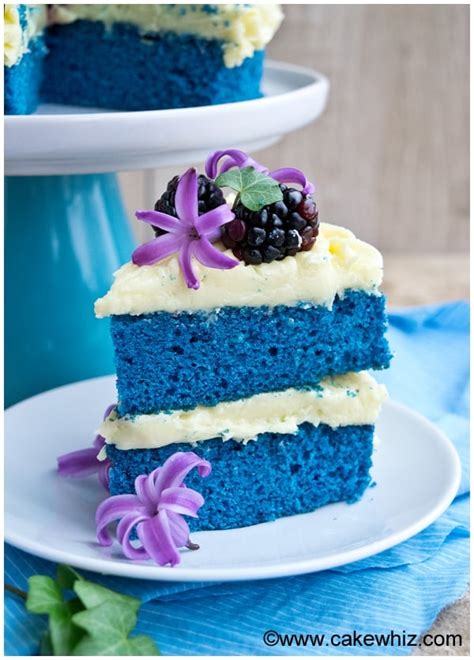 Easy Naked Cake Tutorial Blue Velvet Cake CakeWhiz