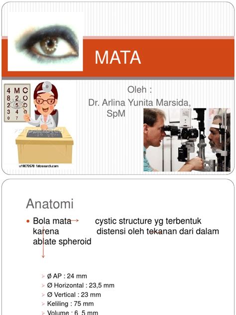 (PDF) Anatomi Mata 2003 - DOKUMEN.TIPS