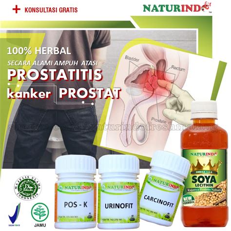 Jual Obat Prostat Herbal Kanker Prostat Infeksi Saluran Kemih Anyang