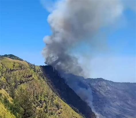 Kebakaran Di Gunung Bromo Meluas Pintu Masuk Via Pasuruan Ditutup