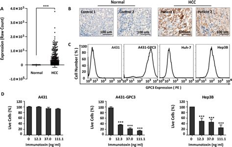 Gpc3 Is A Potent Target For Developing Immunotoxin Strategies In Liver Download Scientific