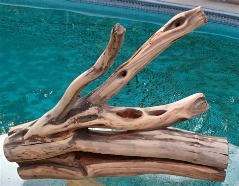 Manzanita Driftwood For Aquarium Terrarium Aquascape 211811 Etsy