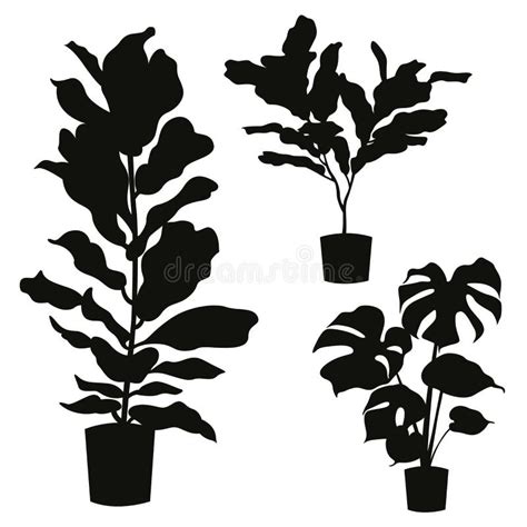 House Plant Silhouette Stock Illustrations 12 185 House Plant