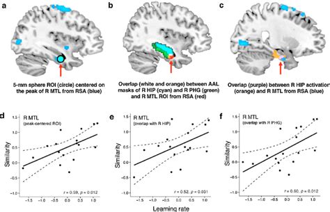 Faster Learners Show Increased Representational Similarity Between