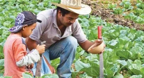 El A O De La Agricultura Familiar Campesina Ind Gena