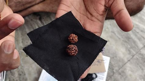 Sadhguru Mahashivratri Diksha Rudraksha Unboxing Aadhi Yogi Isha