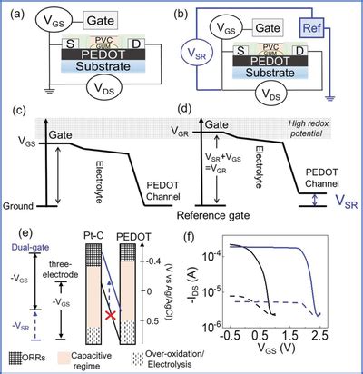 A Standard Threeelectrode OECT Schematic And B Dualgate OECT