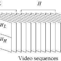 The Chart Explains The Process Of The Three Dimensional Wavelet