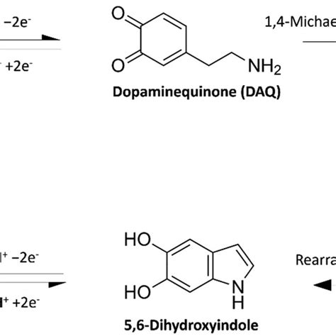 Structure Of Dopamine And Its Common Interferents At Physiological Ph