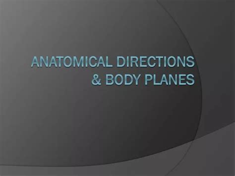 Ppt Anatomical Directions Body Planes Powerpoint Presentation Id