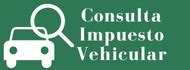 Consulta Impuesto Vehicular En Departamento De Cauca