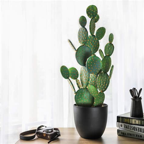 Ncyp Large Artificial Cactus Review Succulents Symphony