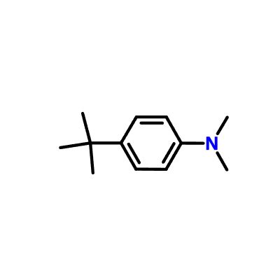 Good Price CAS 2909 79 7 4 TERT BUTYL N N DIMETHYLANILINE For Sale