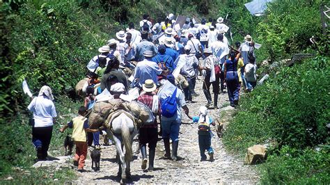 América Latina registró millones de desplazados en un año Infobae