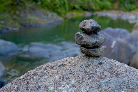 El Yunque National Rainforest Half Day Tour El Conquistador Resort Saltours