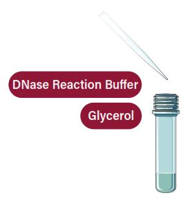 Galenvs Magnetiq Plant Rna Extraction Kit User Guide