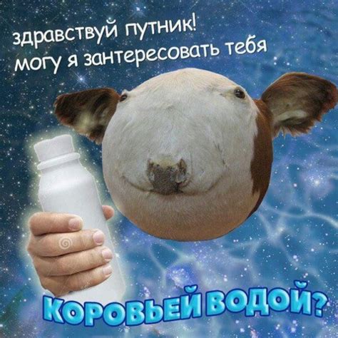 Альтаир ★ | ВКонтакте