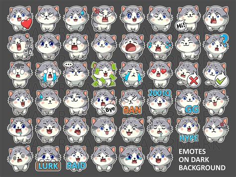 Gray Cat Emotes X 46 For Twitch And Discord Emote And Whatsapp Emote