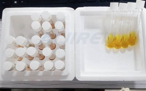 HPLC Sampler Vial For Laboratory Test On SaleWhat Is A Digestion And