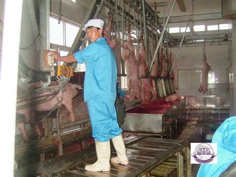 Pig Blood Collection Tank Slaughtering Equipment For Pig Abattoir